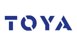 Toya